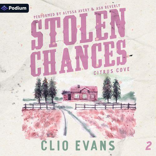 Stolen Chances