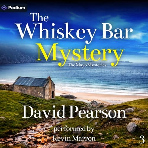 The Whiskey Bar Mystery