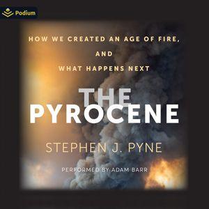 The Pyrocene