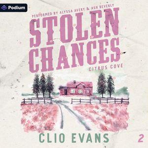 Stolen Chances