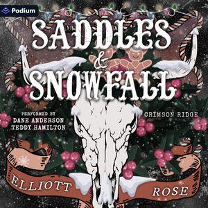 Saddles and Snowfall