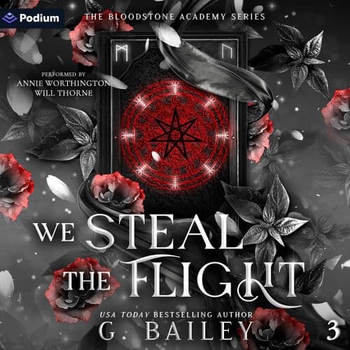 We Steal the Flight