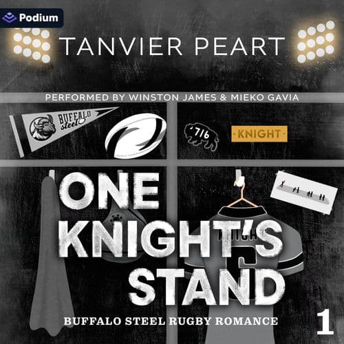 One Knight's Stand